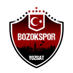 Yozgat Bld Bozokspor